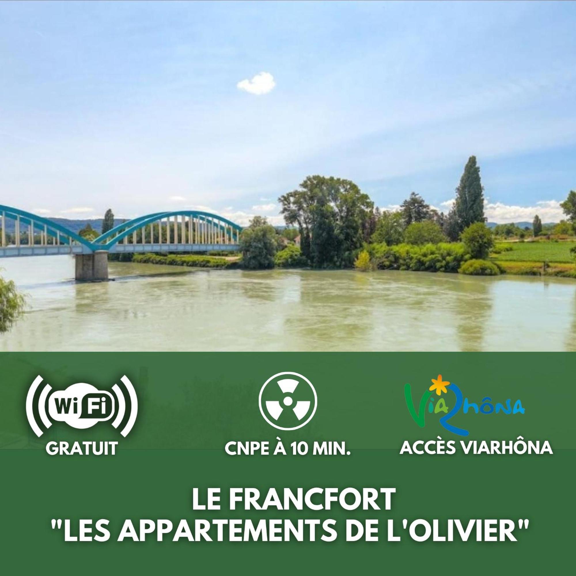 Le Francfort - Les Appartements De L'Olivier Loyettes Ngoại thất bức ảnh